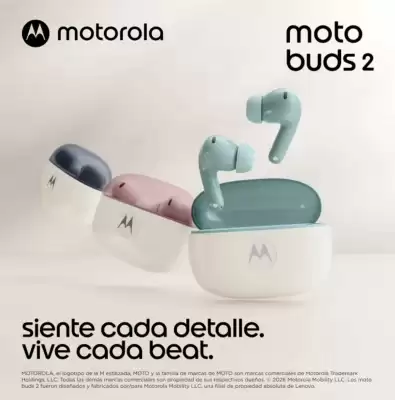 Tottus (válido hasta 15-06)