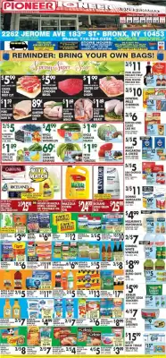 Pioneer (valid until 11-06)