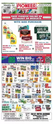 Pioneer (valid until 13-06)