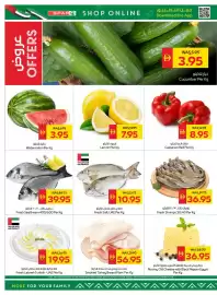 Abu Dhabi Coop leaflet week 24 Page 2