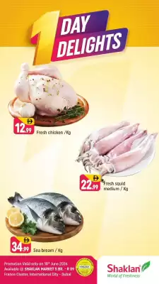 Shaklan (valid until 10-06)