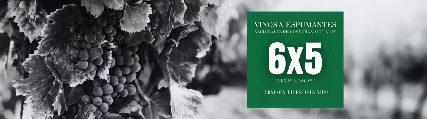 Vinoteca Ligier (válido hasta 30-06)