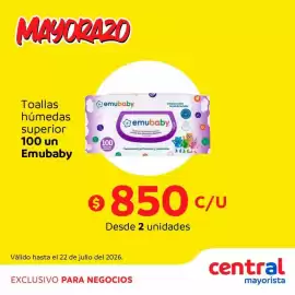 Catálogo Central Mayorista Página 6