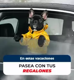 Catálogo Autoplanet semana 24 Página 13