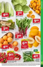 Stokrotka Market gazetka tydzień 24 Strona 5