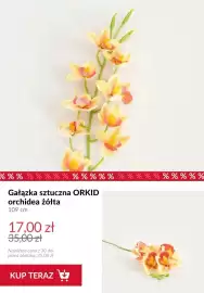 Homla gazetka tydzień 24 Strona 2