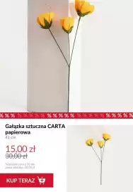 Homla gazetka tydzień 24 Strona 3