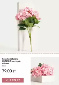 Homla gazetka tydzień 24 Strona 7