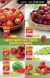 Biedronka gazetka tydzień 24 Strona 19