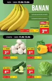 Biedronka gazetka tydzień 24 Strona 20