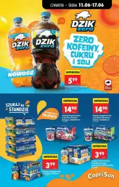 Biedronka gazetka tydzień 24 Strona 45