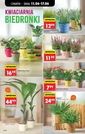 Biedronka gazetka tydzień 24 Strona 48