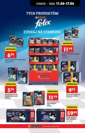 Biedronka gazetka tydzień 24 Strona 55