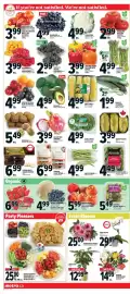 Metro flyer week 24 Page 6