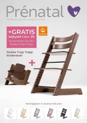 Prenatal folder (geldig t/m 14-06)