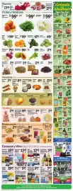 Fiesta Mart weekly ad week 24 Page 4
