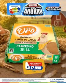 Catálogo Surtifamiliar Página 2
