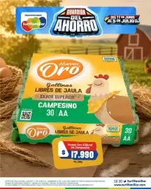 Catálogo Surtifamiliar Página 2