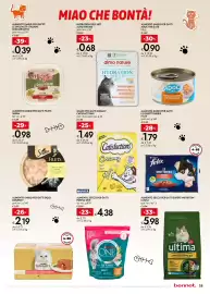 Volantino Bennet | Bellezza Pagina 25