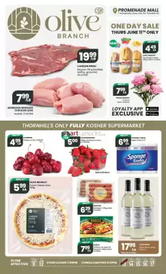 Olive Branch (valid until 17-06)