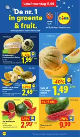 Lidl folder week 25 Pagina 4