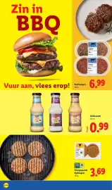 Lidl folder week 25 Pagina 48