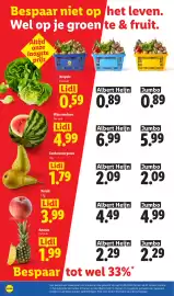 Lidl folder week 25 Pagina 8