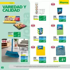 Catálogo Mayorsa Página 13