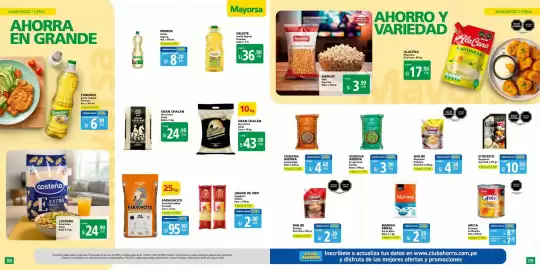 Catálogo Mayorsa Página 5