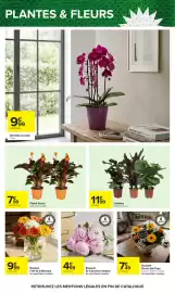Catalogue Carrefour page 30