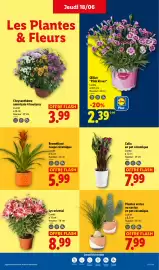Catalogue Lidl semaine 25 page 27
