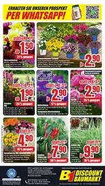 B1 Discount Baumarkt Prospekt woche 24 Seite 8