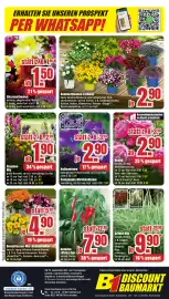 B1 Discount Baumarkt Prospekt woche 24 Seite 8