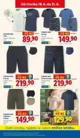 Lidl leták týden 25 Strana 15