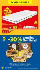 Lidl leták týden 25 Strana 24