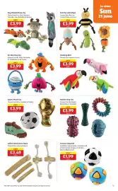 Aldi leaflet week 25 Page 15