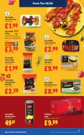 Lidl leaflet week 25 Page 13