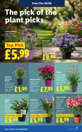Lidl leaflet week 25 Page 21