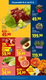 Lidl leták Strana 11