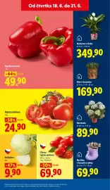 Lidl leták Strana 9