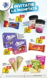 Catalog Mega Image săptămâna 24 Pagină 11