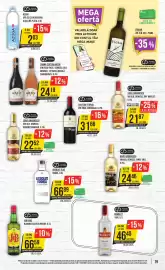 Catalog Mega Image săptămâna 24 Pagină 19