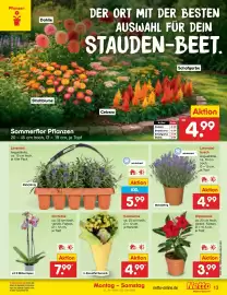 Netto Marken-Discount Prospekt Seite 17