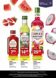 Delikatesy Centrum gazetka | Alkohole Strona 12