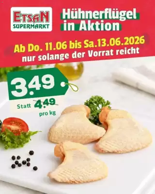 ETSAN Flugblatt