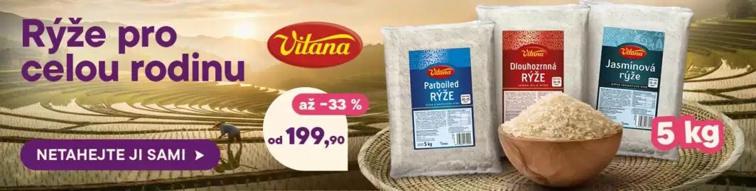 Košík leták týden 24 Strana 11