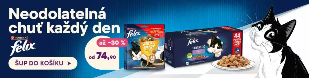 Košík leták týden 24 Strana 13