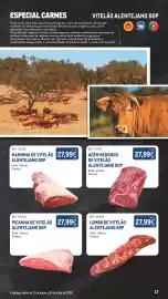 Catálogo Makro Página 17