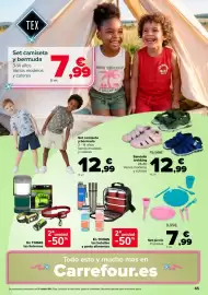 Folleto Carrefour Página 65