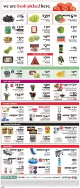 ShopRite flyer week 25 Page 9